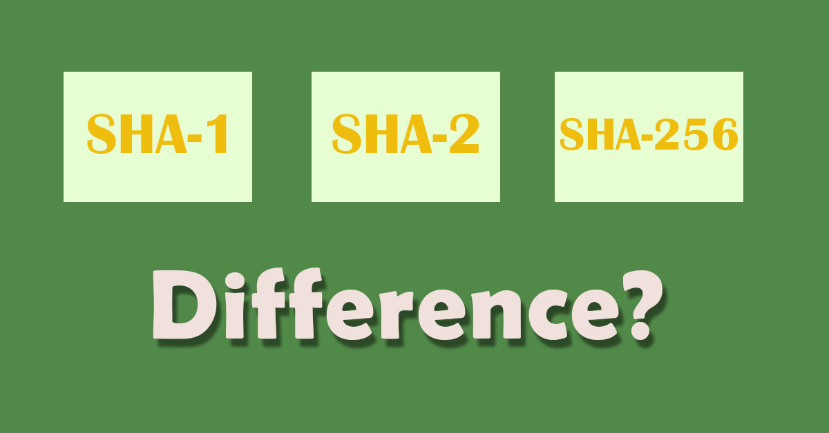 The Different Versions of SHA and Are They Secure Enough?